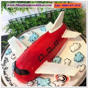 Bánh Sinh Nhật Máy Bay - MA13